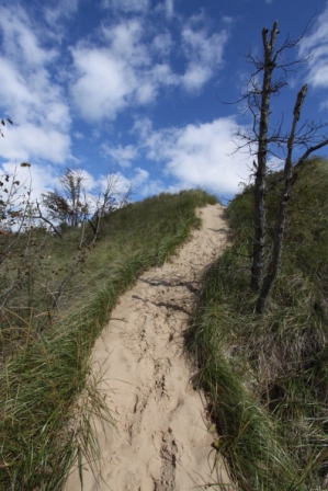 Soft Sand Trail